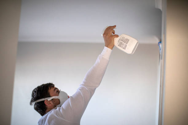 Best Mold Testing  in Pleasantville, IA
