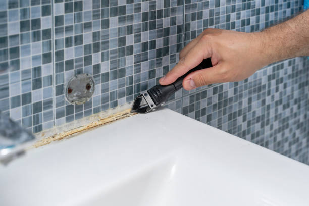 Best Professional Mold Removal  in Pleasantville, IA