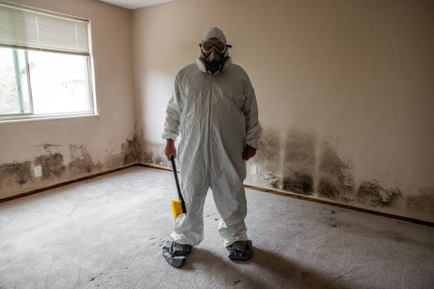 Best Same-Day Mold Removal  in Pleasantville, IA